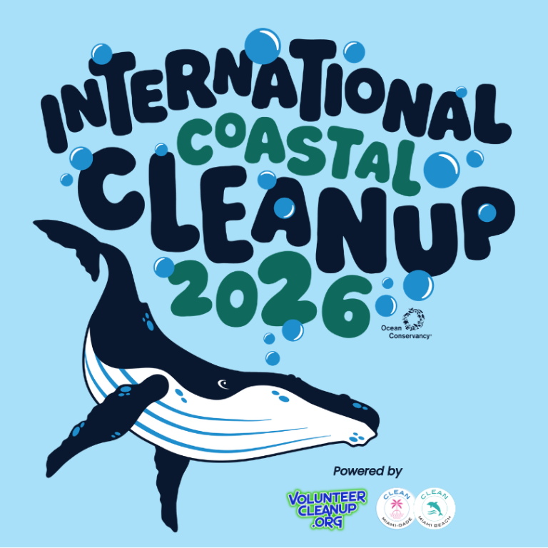 73rd Street Beach Cleanup